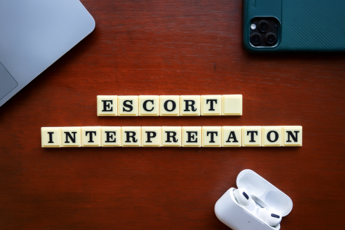 Professional Escort Interpretation for Manufacturing Overseas Visits